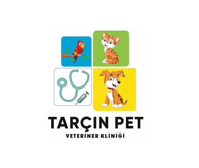 Veteriner Hekim Kimdir?