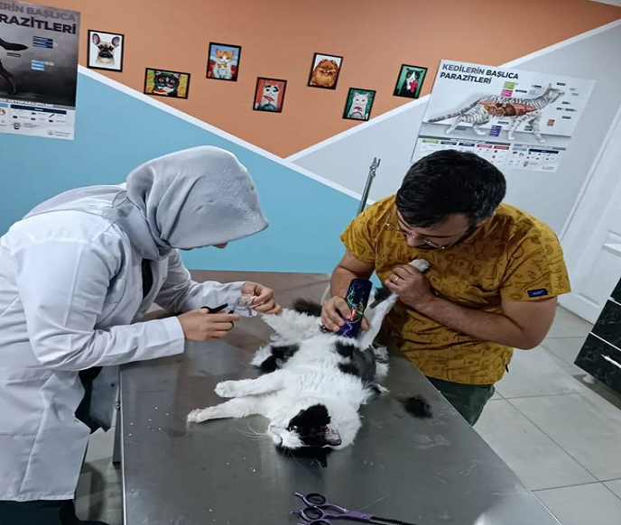 Kuaför ve Makas Traşı