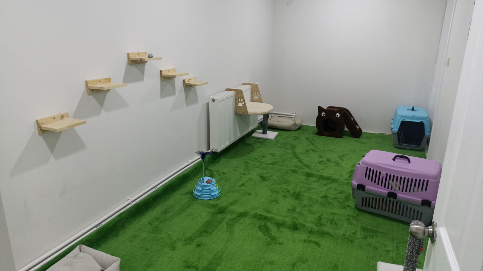 Pet Otel