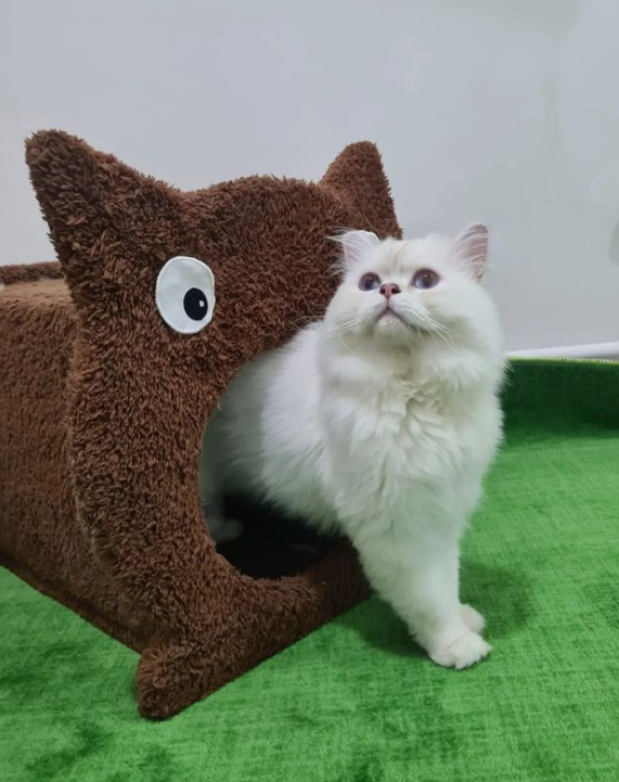 VAN TAR&Ccedil;IN PET VETERİNER KLİNİĞİ