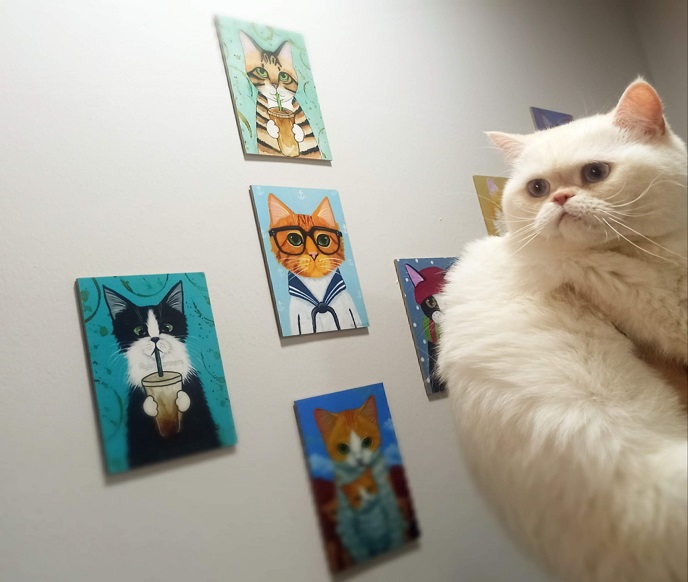 Van Tar&ccedil;ın Pet Veteriner Kliniği 9